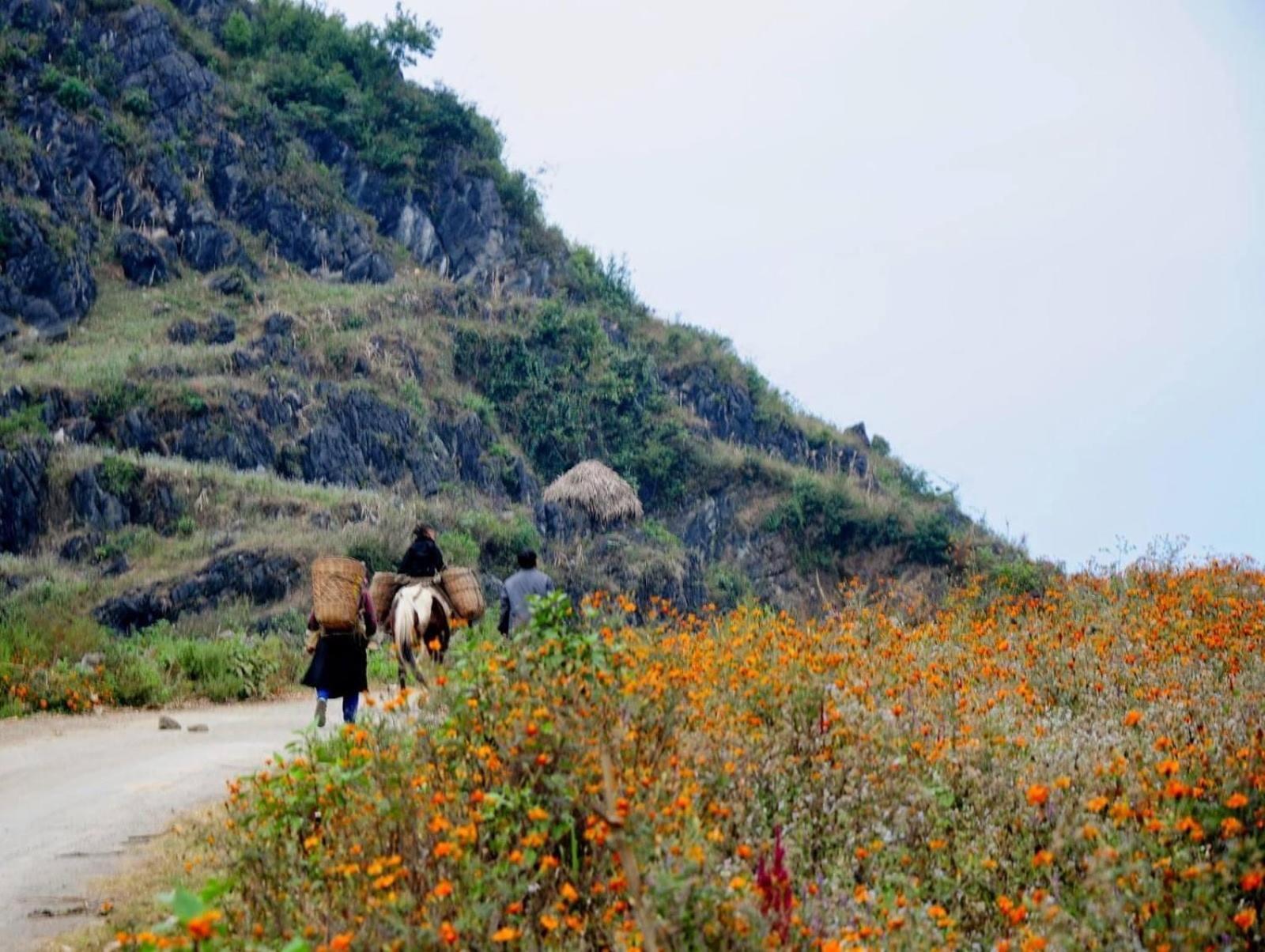 Hang Thuong Hostel - Motorbikes And Tour Ha Giang Kültér fotó